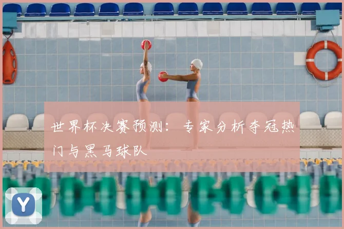 世界杯决赛预测:专家分析夺冠热门与黑马球队
