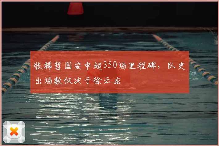 张稀哲国安中超350场里程碑，队史出场数仅次于徐云龙