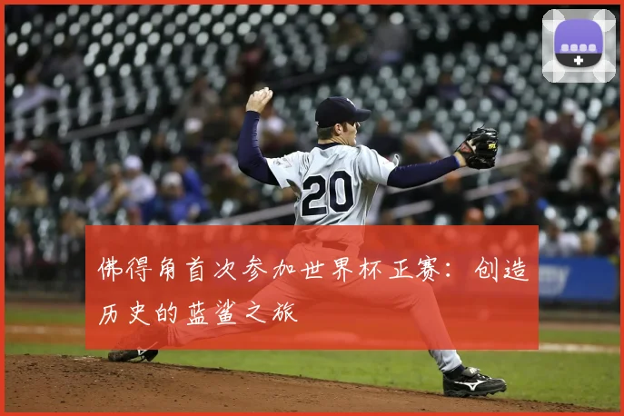 佛得角首次参加世界杯正赛：创造历史的蓝鲨之旅